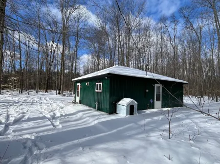 Cozy Cabin - In the Stix! Centrally located for Up North Fun