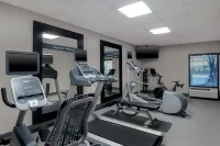 Hampton Inn Tallahassee-Central - Træningscentre