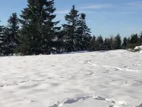 Family-friendly, cozy and plenty of space with balcony high above Bödefeld