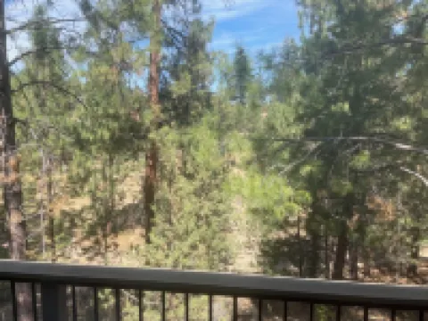 Updated Mount Bachelor Village 2-bedroom Condo,  Enjoy Resort Amenities! with AC