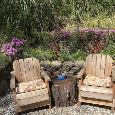 Adorable cottage w/ ocean views, redwoods, and a hot tub. Pets OK!
