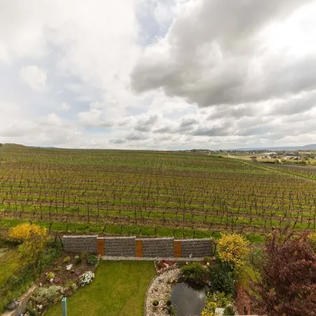 Relaxation in the vineyards - Ferienwohnung Isinger