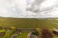 Relaxation in the vineyards - Ferienwohnung Isinger