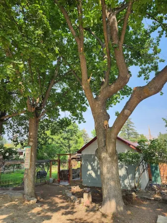 Shady Rest in Hot Springs MT.