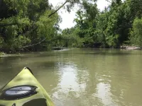 Bird watching paradise! Hotels in Seadrift