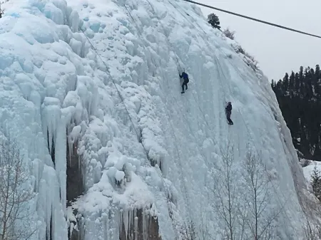 Gorgeous Studio home, Fenced yard, Open Yr Rnd, Dog Friendly.