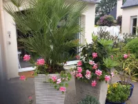 Studio for rent Port la FOET - Fouesnant 29940