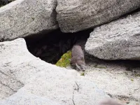 Luxury cottage with sea view and Beach