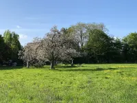 Spacious Vacation Apartment in a Farmhouse Between Varel and Dangast Hotels in Varel