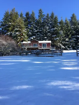 Romantic Ocean View Cottage with Starry Night Sky Gazing!
