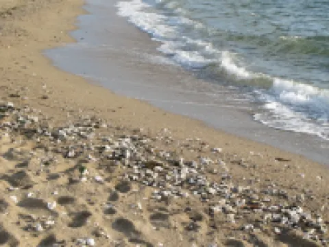 Seaway la Salorge de Lanseria Hôtels à : Mesquer