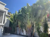 Fabulous Custom Home in Siesta Key!