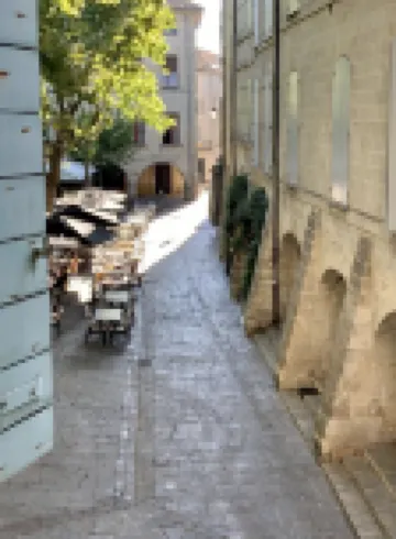 Magnificent apartment on Place aux Herbes- 16th century building