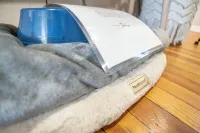 Cozy, dog-friendly, downtown