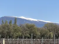 Sun of the Hermitage. Villa with pool 6/8 persons, Family holidays Hotels in Carpentras