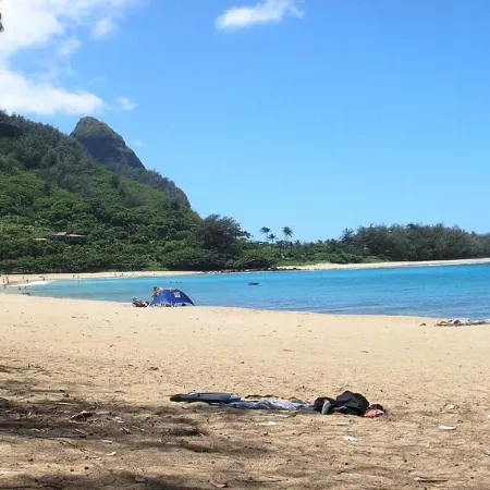 Experience the Island Paradise of Kauai's North Shore from above the Treetops.