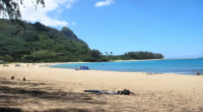 Experience the Island Paradise of Kauai's North Shore from above the Treetops.