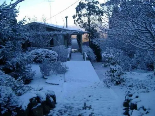 Graceland Mount Victoria