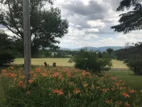 Newly Renovated: Million Dollar Mountain View Getaway!!