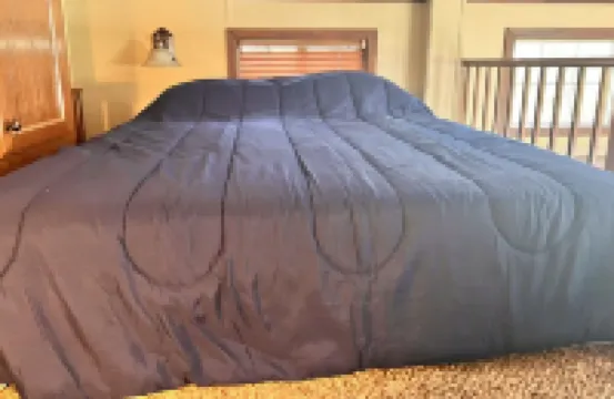 Cabin-style tiny home along best elk viewing road Hotels in Elk County