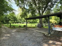 Cottage in the Woods, Safe area, on 6 acres, Free Parking.