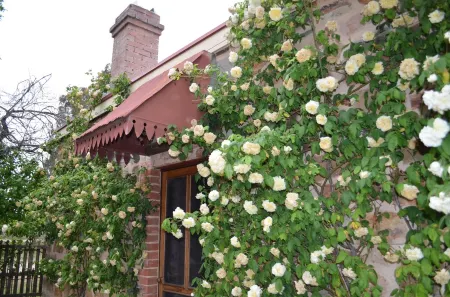 Homely Cottage nestled in the award-winning Heritage Garden