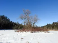 Ideal getaway for nature lovers! Hotels in Iosco County