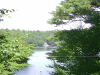 A cozy, relaxing, private cabin overlooking Sawyer Lake  WIFI, TV, AC, Heat