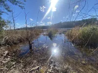 Waterfront Nature Oasis Right off the Interstate