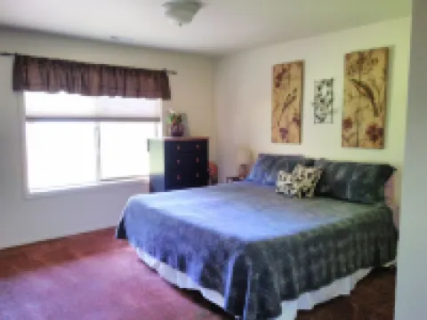 Bird Lover’s Paradise