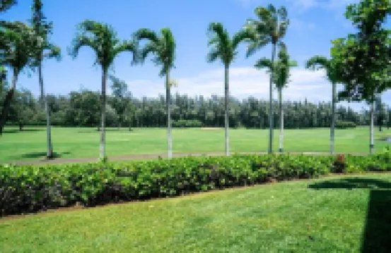 Legal Rental - Elegant Turtle Bay Condo - 1 Bed/2 Bath 卡夫庫酒店