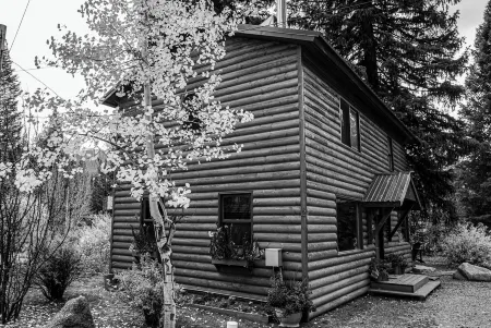 Lemmon Lodge Riverfront Cabin #12 with Private Beach on Grand Lake!