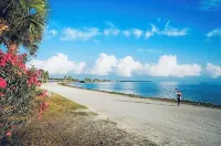 Charming condo close distance to Honeymoon Island!