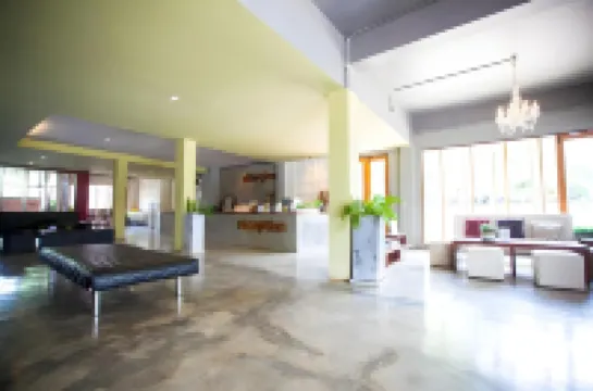 อาฟเตอร์โกลว โฮสเทล โรงแรมในอำเภอแม่สาย