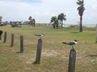 Hidden gem in Fulton, Tx