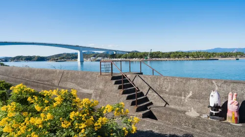 민슈쿠 마사고 고치시 호텔