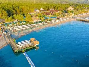 Fun&Sun Family Gypsophila Marine