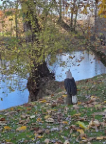 The Riverside Cottage... Charming  2-bedroom cottage on the Mohican River