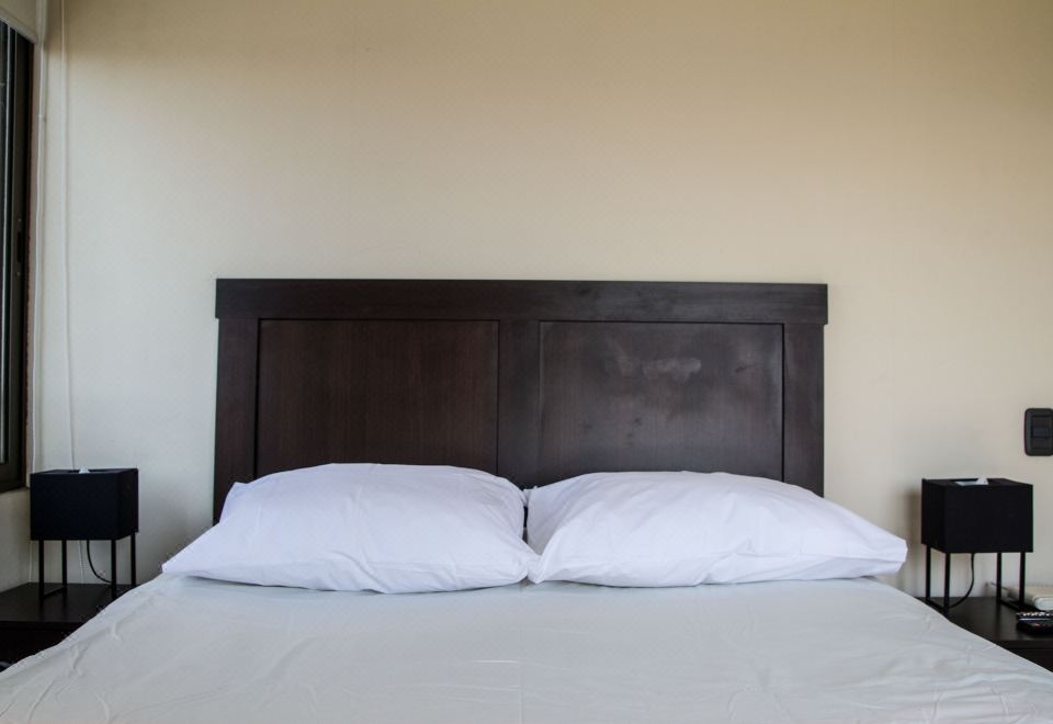 Santiago Furnished Apartments