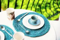 Agastache & Salvia - by Myhomeincomo