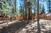 Avalon Hide Out #1336