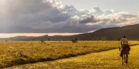Elewana Lewa Safari Camp Hotels in Timau