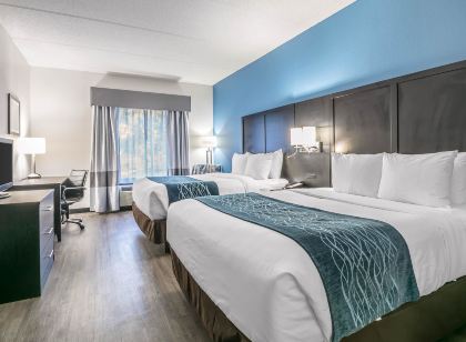 Comfort Inn University