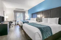 Comfort Inn University Hotels in Gainesville