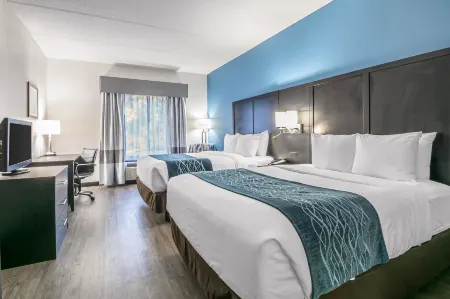 Comfort Inn University Отели рядом с достопримечательностью «Канапаха Ботаникал Гарденс»