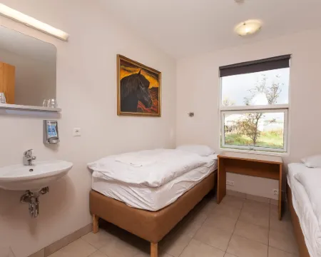 Guesthouse Eldhestar Hotels in Hveragerei