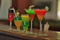 Tamarind Tree Garden Resort - Katunayake - bar