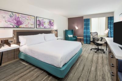 キングルーム ヒルトン ガーデン イン ラファイエット ケイジャンドームの写真