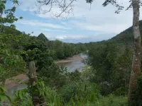 Holiday Rental in Sumatra Hotels in Langkat Regency