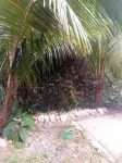 Binks Appartments Hotels near Papillote Tropical Gardens